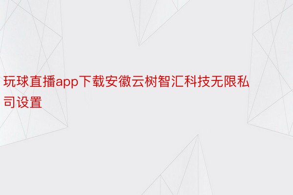 玩球直播app下载安徽云树智汇科技无限私司设置